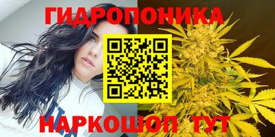 Альфа ПВП Лесосибирск