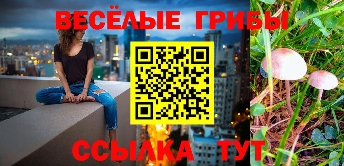 Галлюциногенные грибы Psilocybine cubensis Великий Устюг