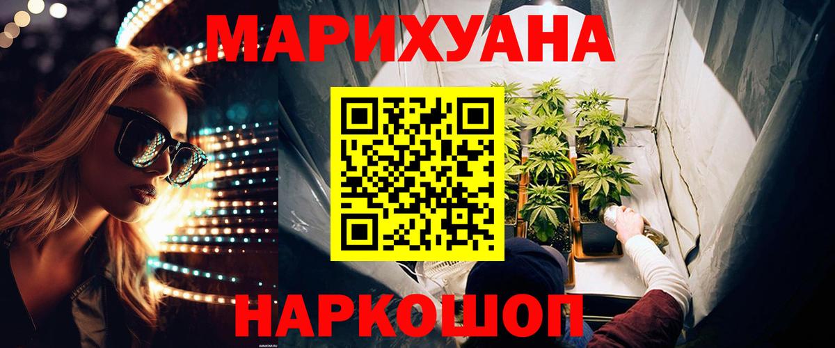 Каннабис сатива Великий Устюг